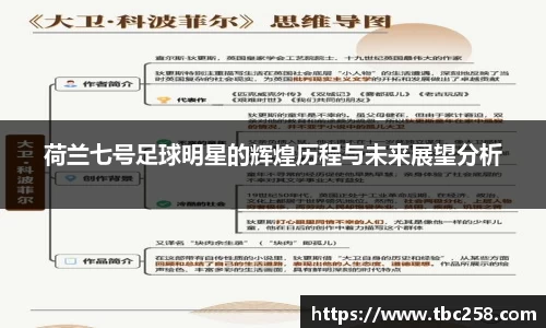 荷兰七号足球明星的辉煌历程与未来展望分析